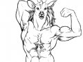 cs-Deer7-06b.jpg